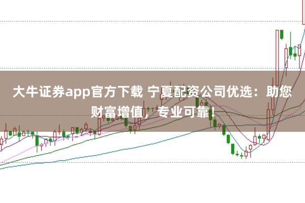 大牛证券app官方下载 宁夏配资公司优选：助您财富增值，专业可靠！