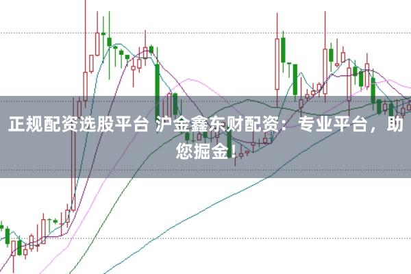 正规配资选股平台 沪金鑫东财配资：专业平台，助您掘金！