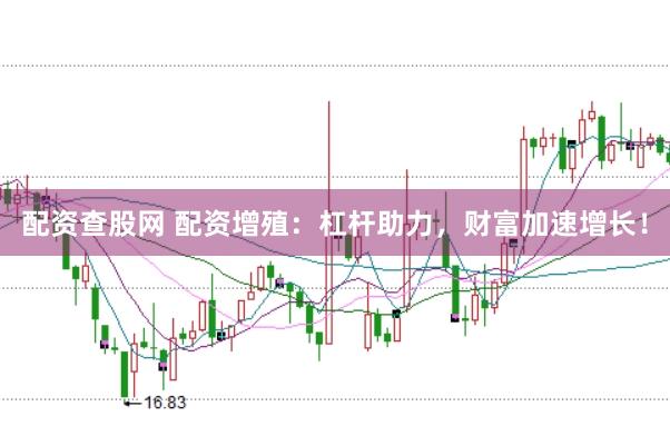 配资查股网 配资增殖：杠杆助力，财富加速增长！